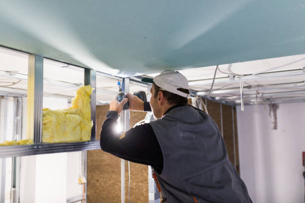 Garage Insulation Installation in Hasson Heights, PA