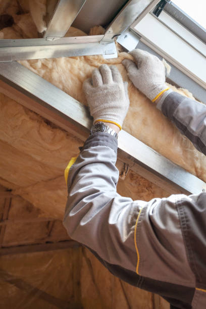 Best Soundproof Insulation Installation  in Hasson Heights, PA