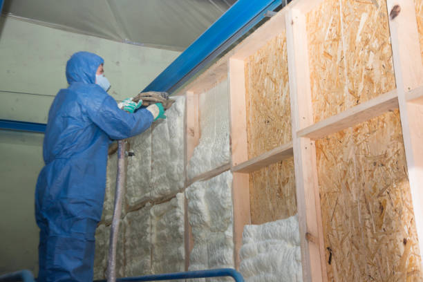 Best Attic Insulation Installation  in Hasson Heights, PA