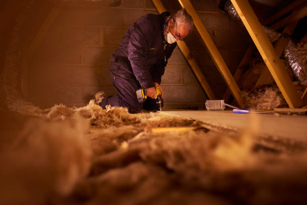 Best Fiberglass Insulation  in Hasson Heights, PA