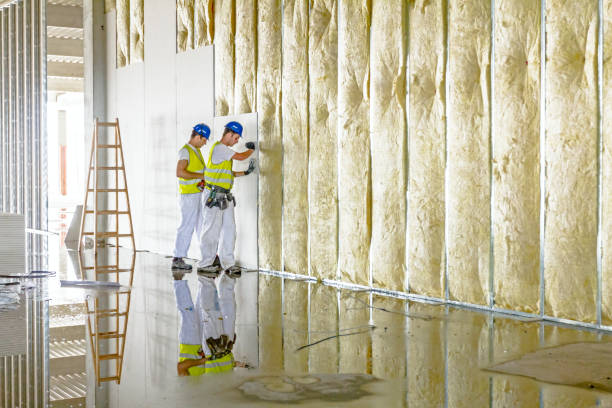 Best Insulation Inspection Services  in Hasson Heights, PA